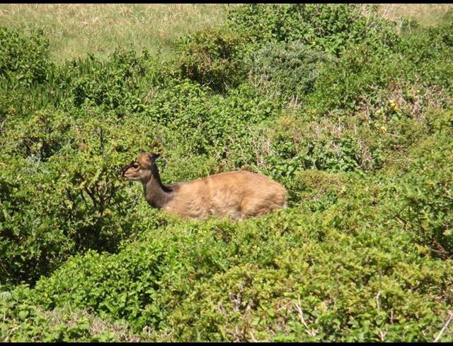 LAND FOR SALE IN DANA BAY